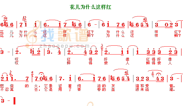 花儿为什么这样红