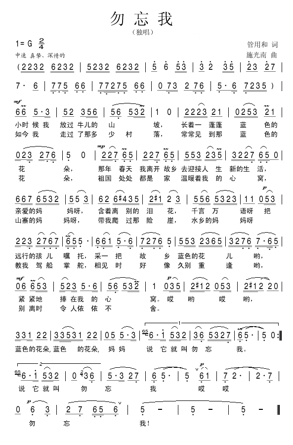 勿忘我