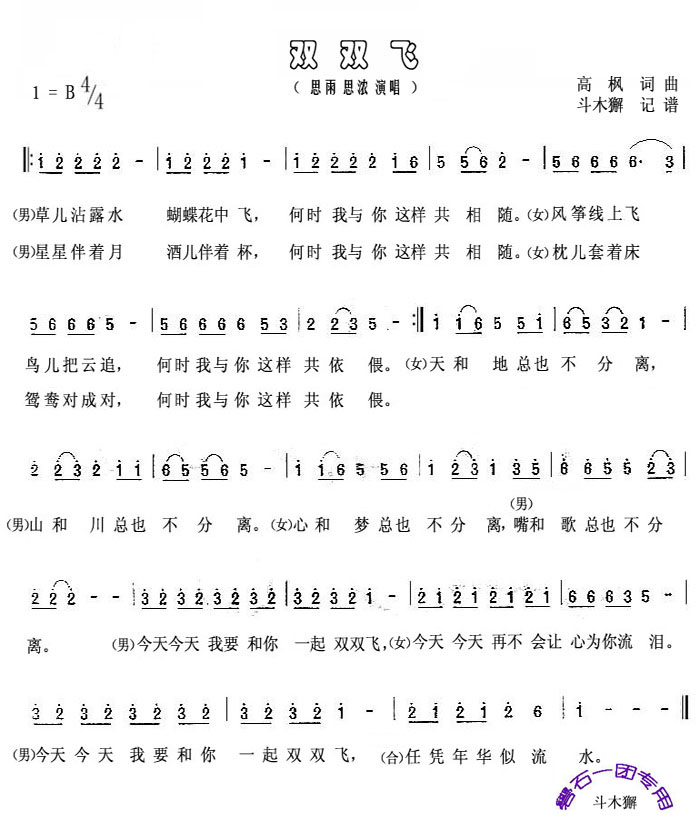 双双飞