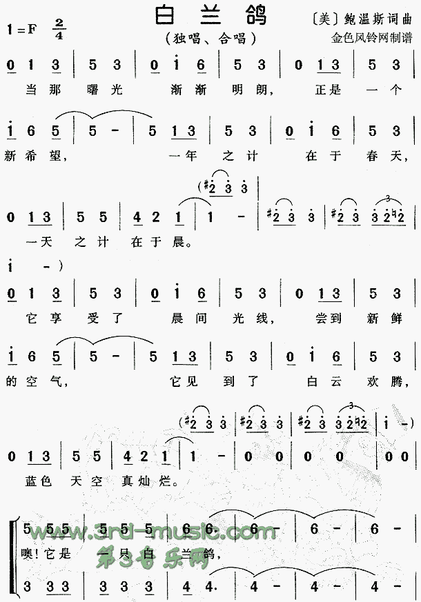 白兰鸽