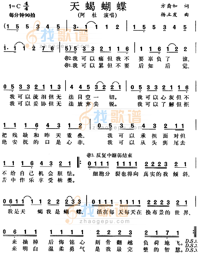 天蝎蝴蝶