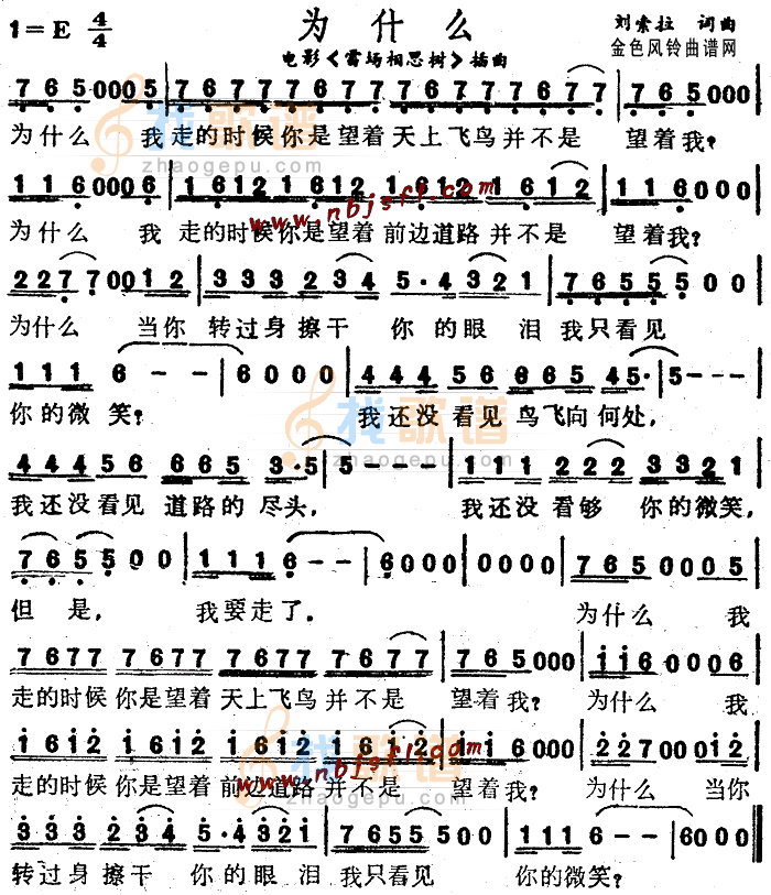 为什么(雷场相思树插曲)