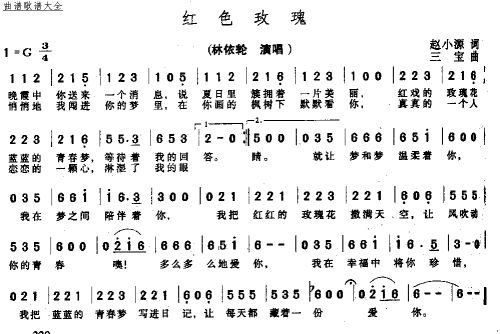 红色玫瑰
