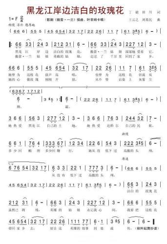 黑龙江岸边洁白的玫瑰花