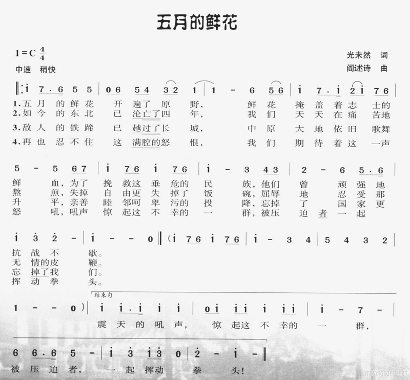 五月的鲜花