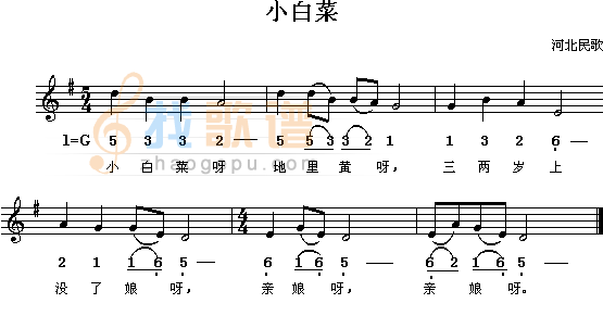 小白菜