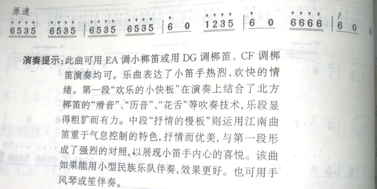 快乐的小笛手