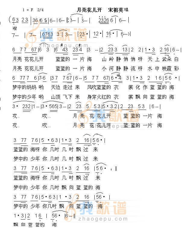 月亮花开