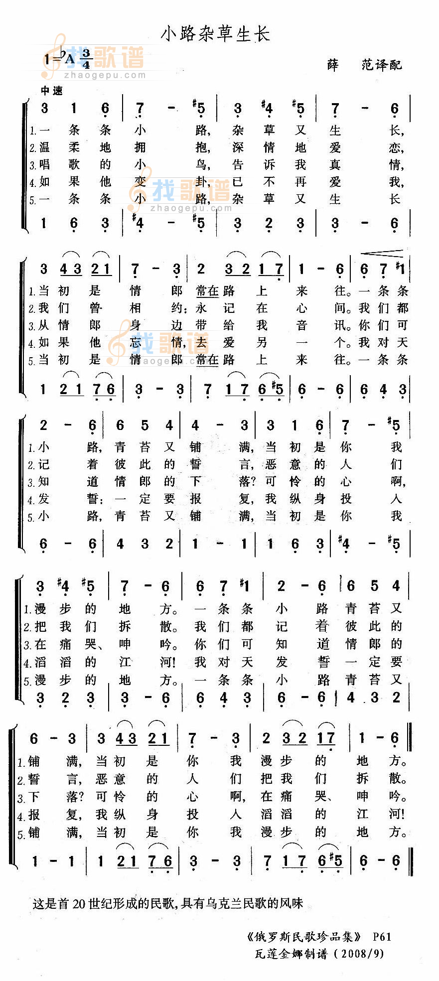 小路杂草生长