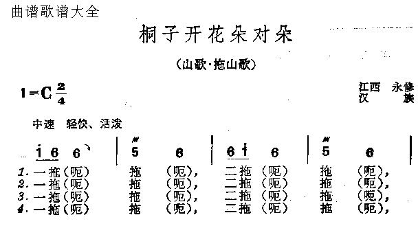 桐子开花朵对朵