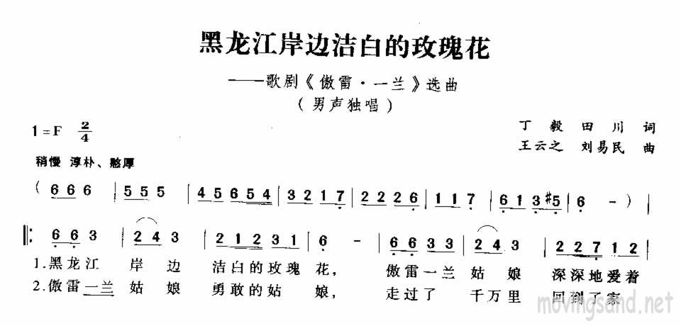 黑龙江岸边洁白的玫瑰花