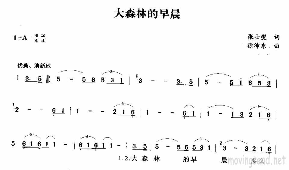 大森林的早晨