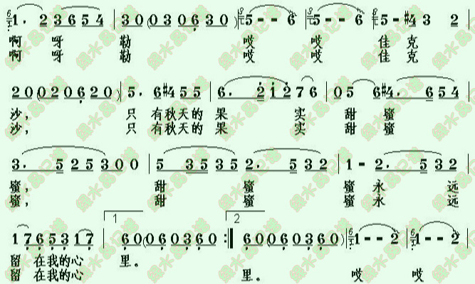 石榴花