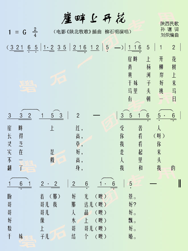崖畔上开花