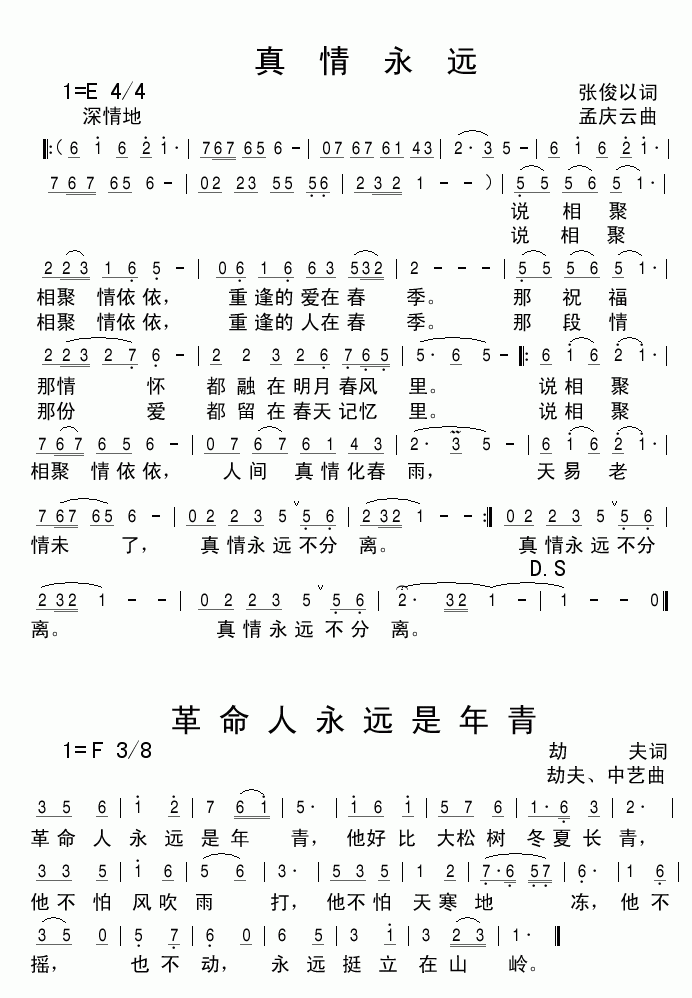 真情永远