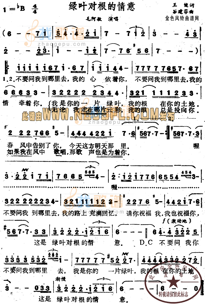 绿叶对根的情意