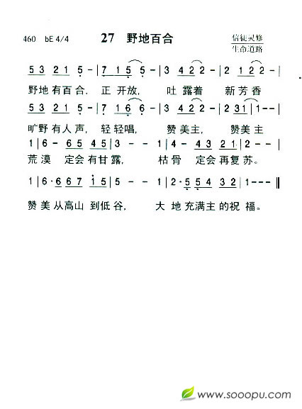 27  野地百合（新增）