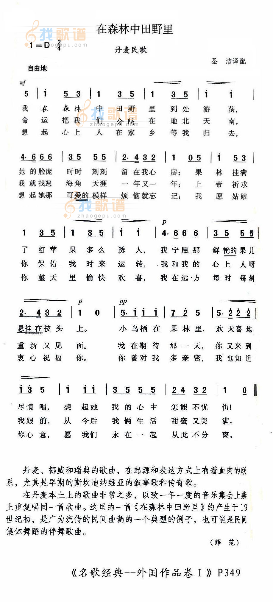 在森林中田野里