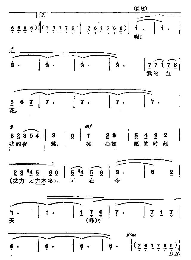 红花