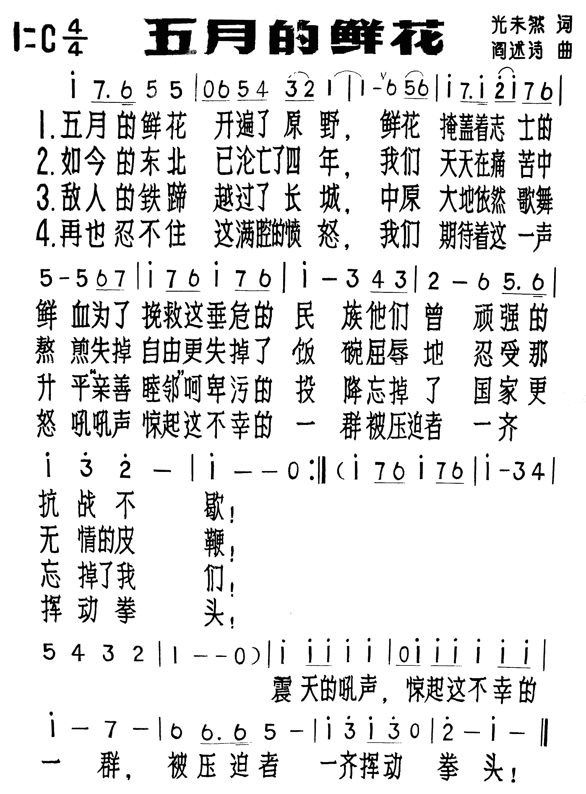 五月的鲜花