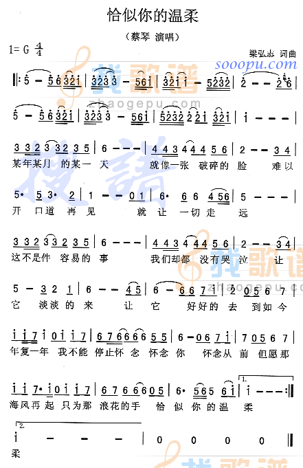 恰似你的温柔