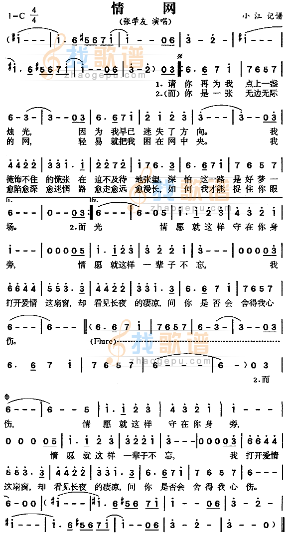 情网