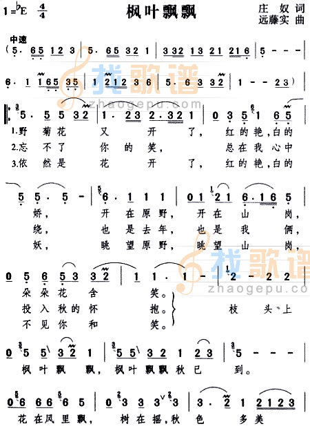 枫叶飘飘