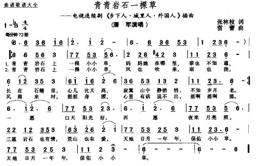 青青岩石一棵草