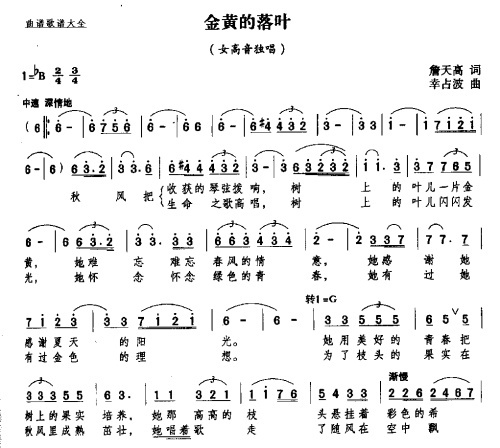 金黄的落叶