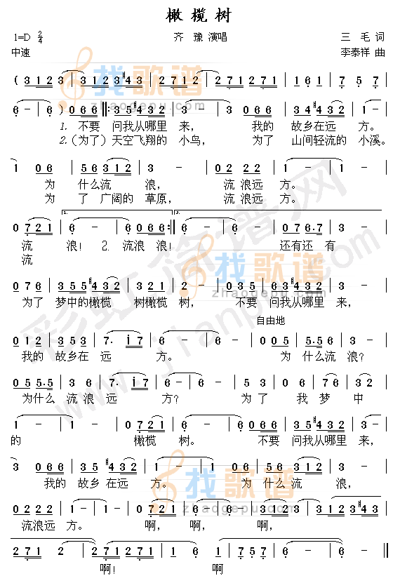 橄榄树
