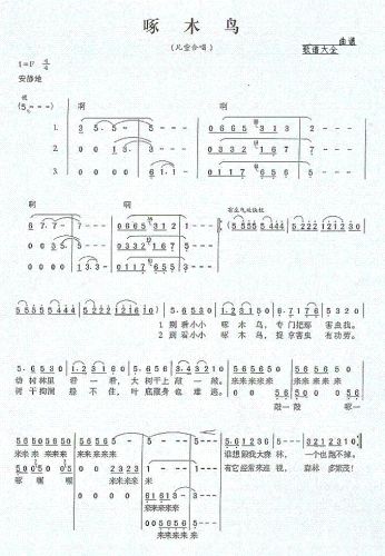 啄木鸟（袁贵勇词 王华曲）