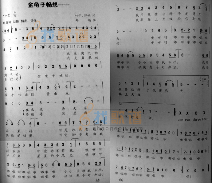 金龟子畅想