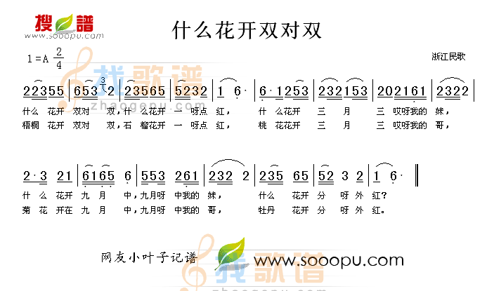 什么花开双对双