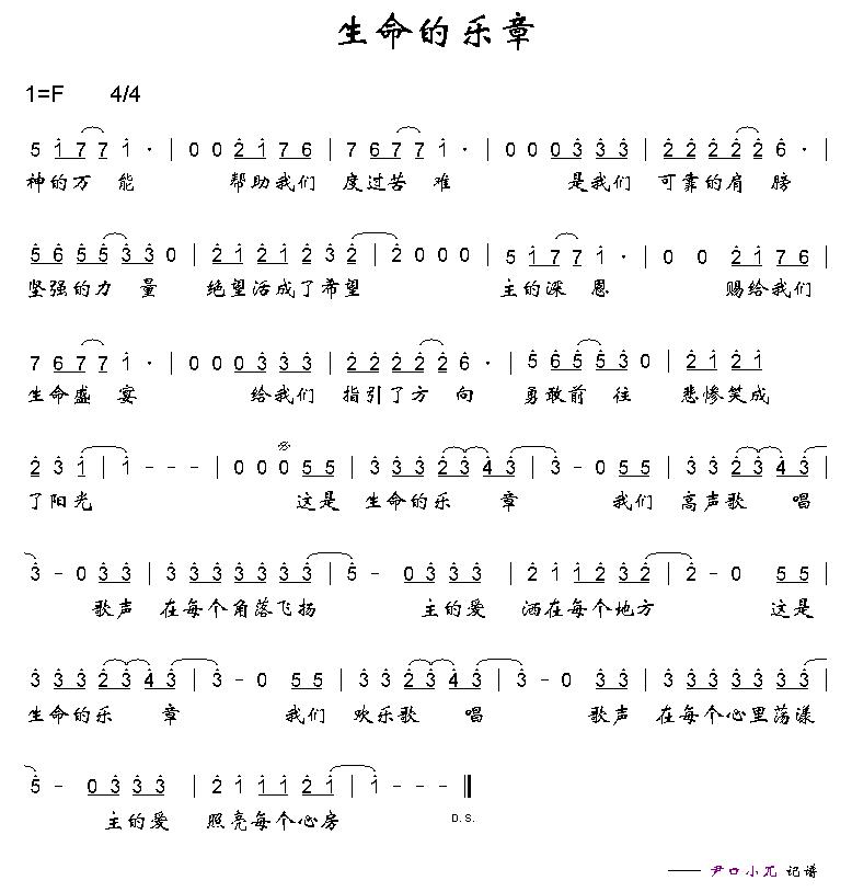 生命的乐章