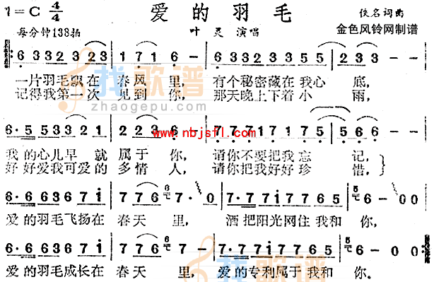 爱的羽毛