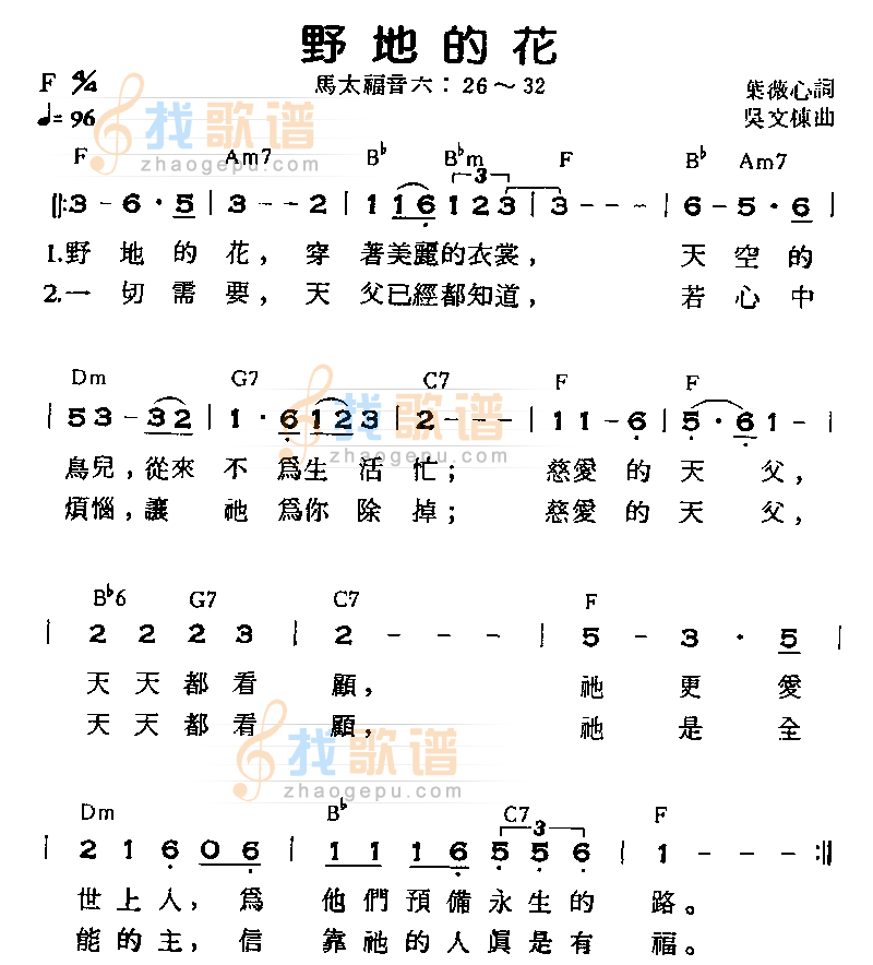 野地的花