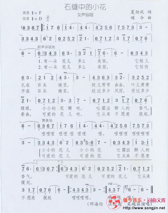 石缝中的小花