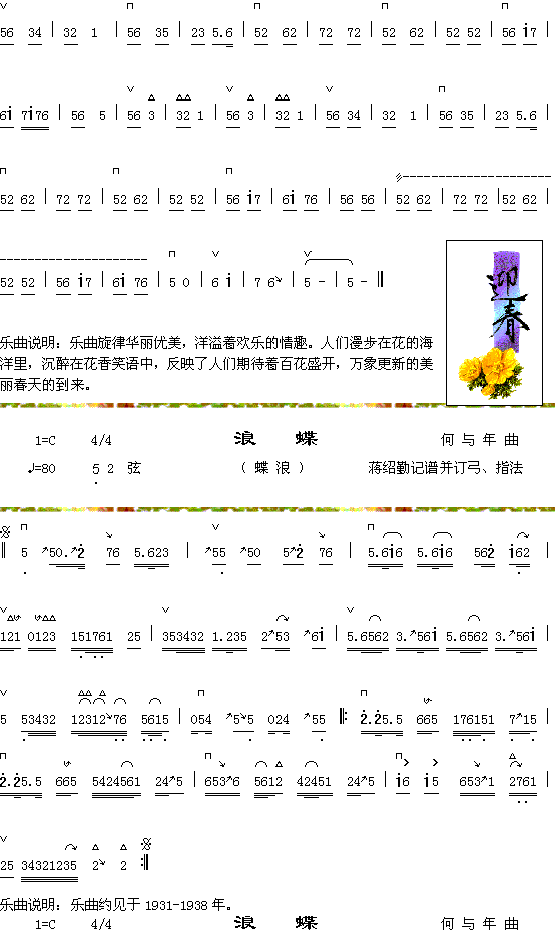 花市迎春2+浪蝶