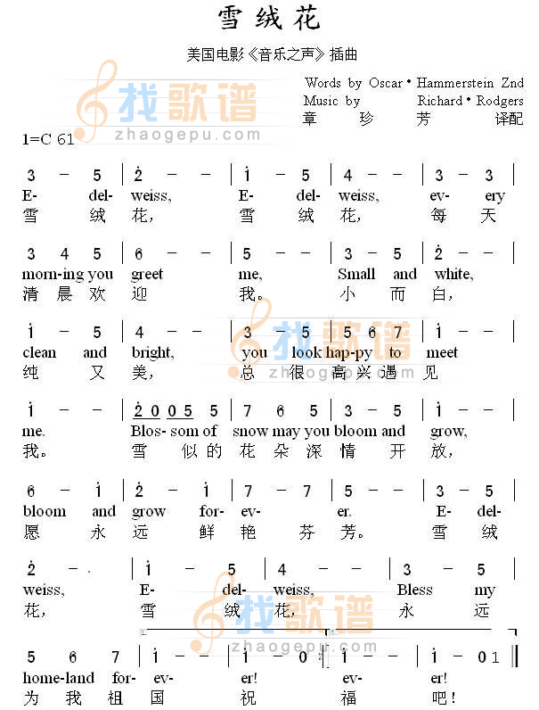 雪绒花