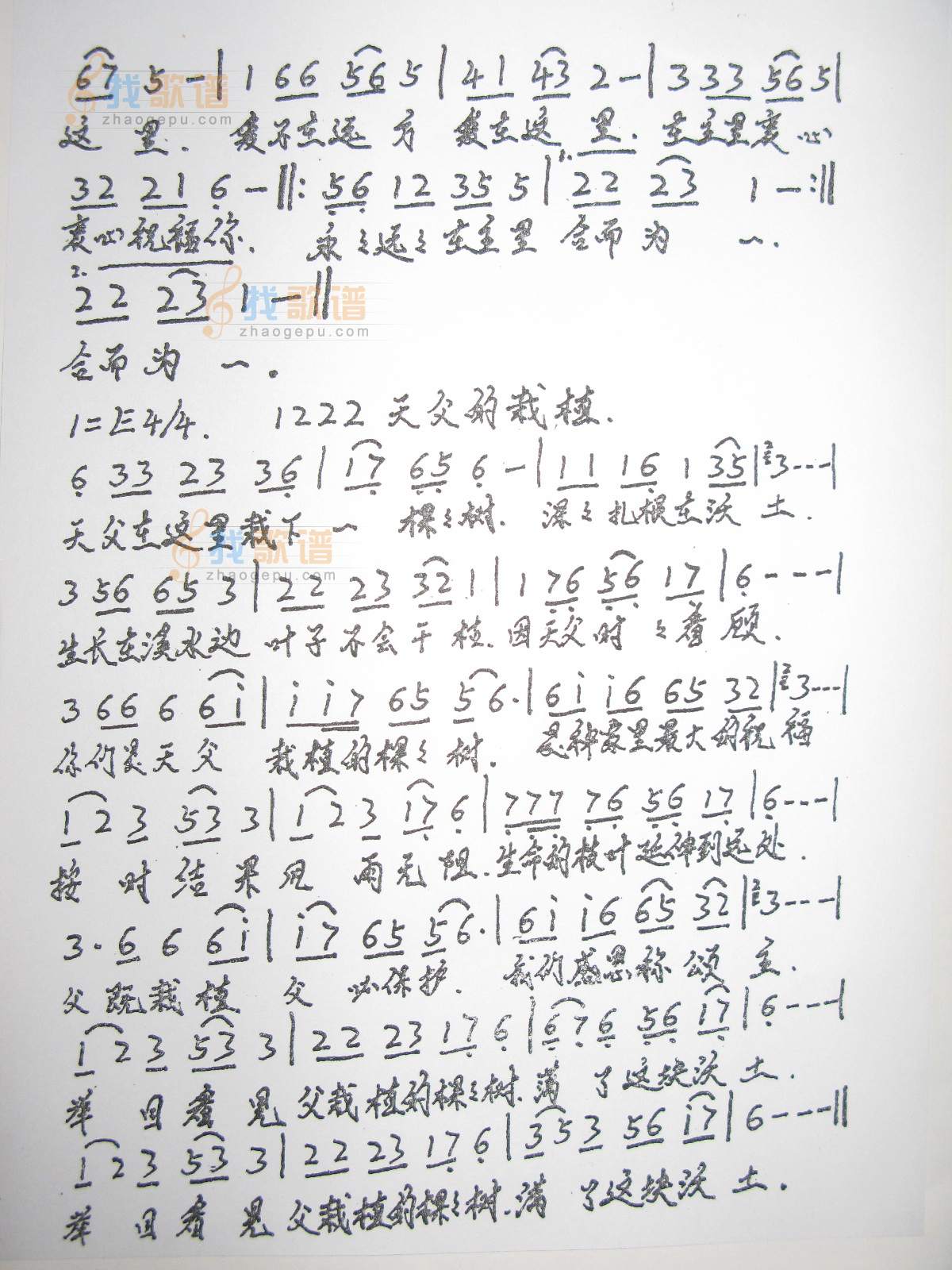 1222  天父的栽植