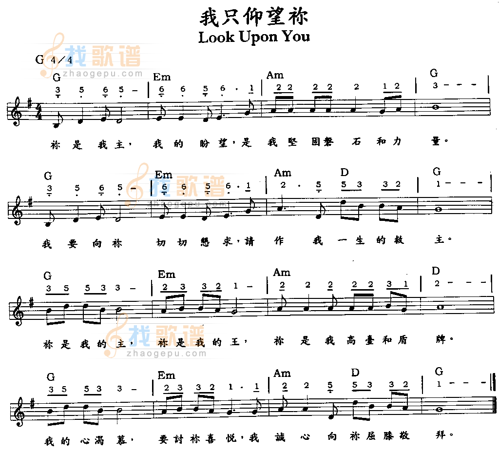 我只仰望你