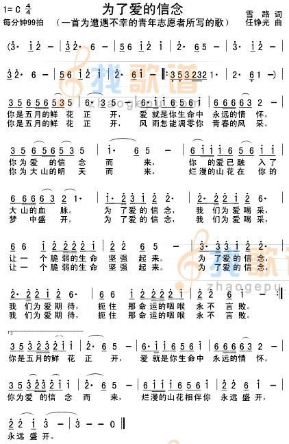为了爱的信念(写给遭遇不幸的青年志愿者的歌)
