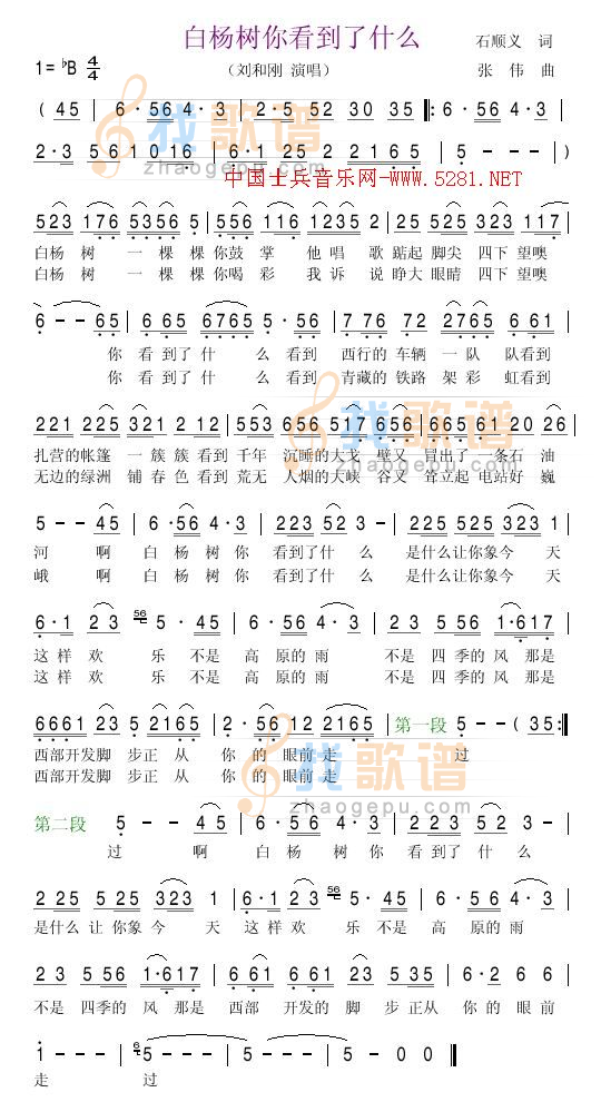 白杨树你看了什么