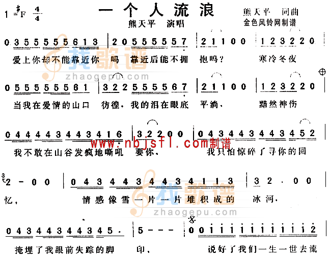 一个人流浪