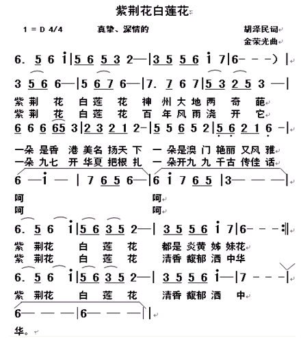 紫荆花白莲花