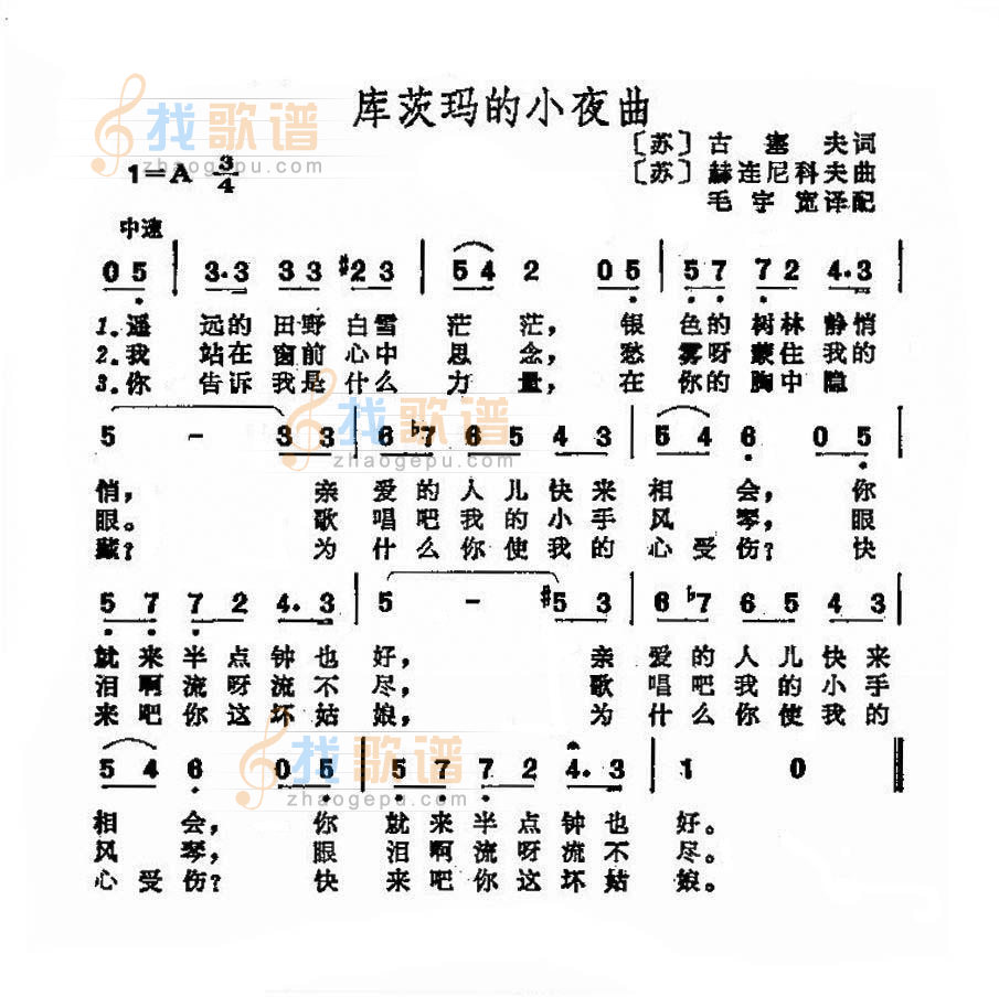 库茨玛的小夜曲