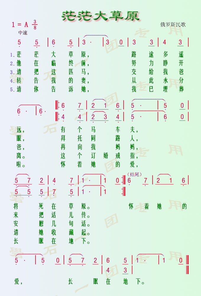 茫茫大草原