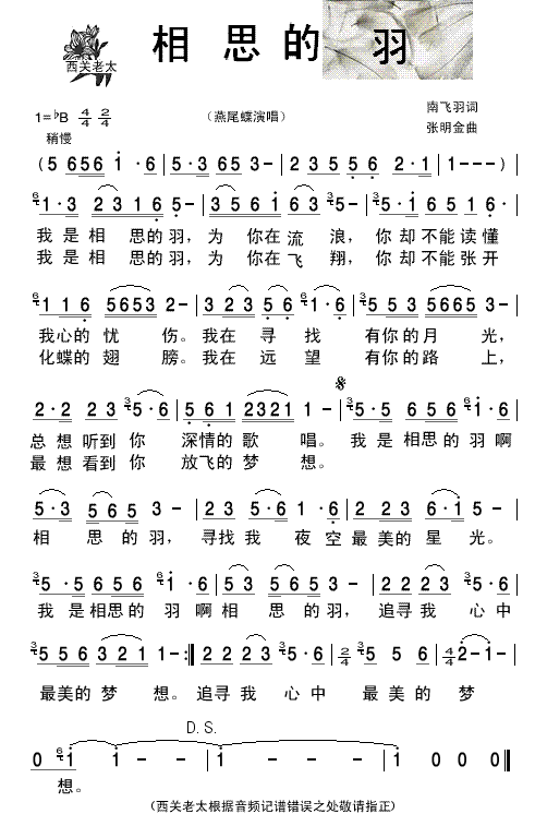 相思的羽