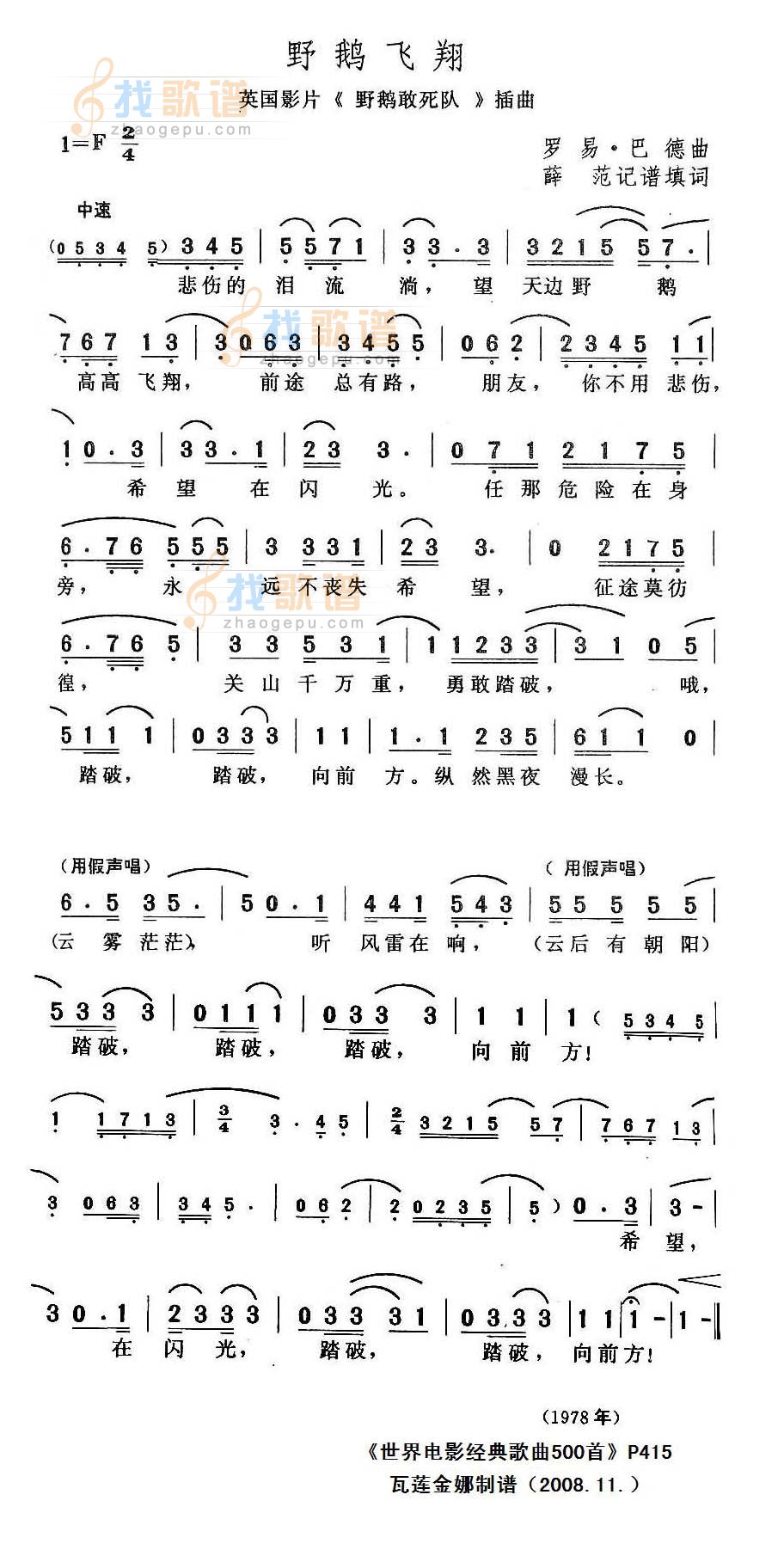 野鹅飞翔