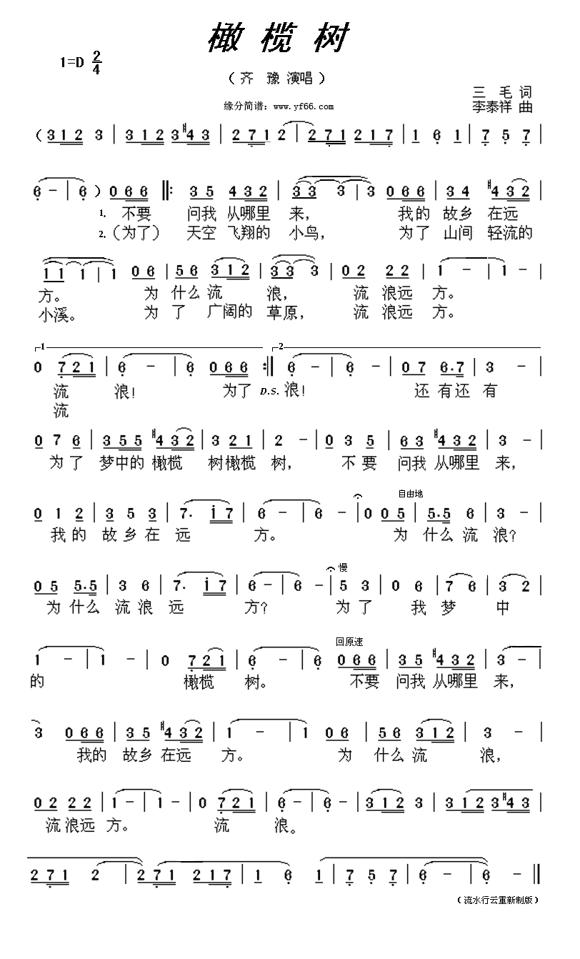 橄榄树